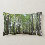 Centennial Wooded Path II Ellicott City Maryland Lumbar Pillow