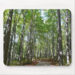 Centennial Wooded Path II Ellicott City Maryland Mouse Pad