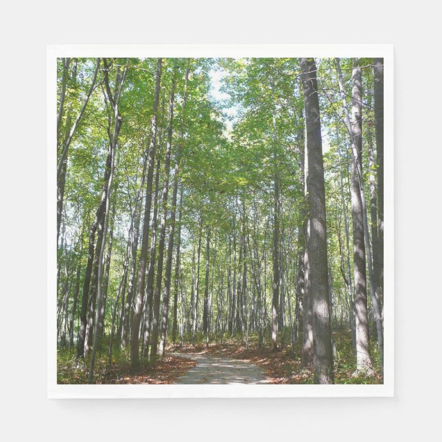 Centennial Wooded Path II Ellicott City Maryland Napkins (Front)