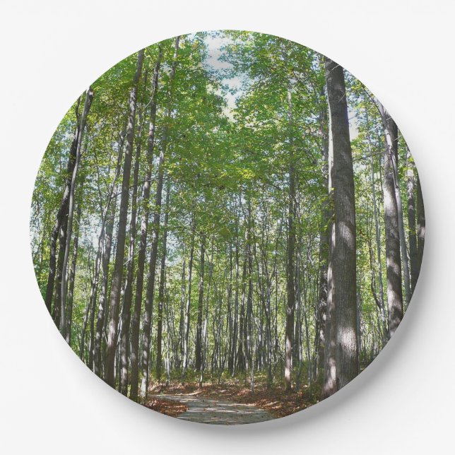 Centennial Wooded Path II Ellicott City Maryland Paper Plates (Front)
