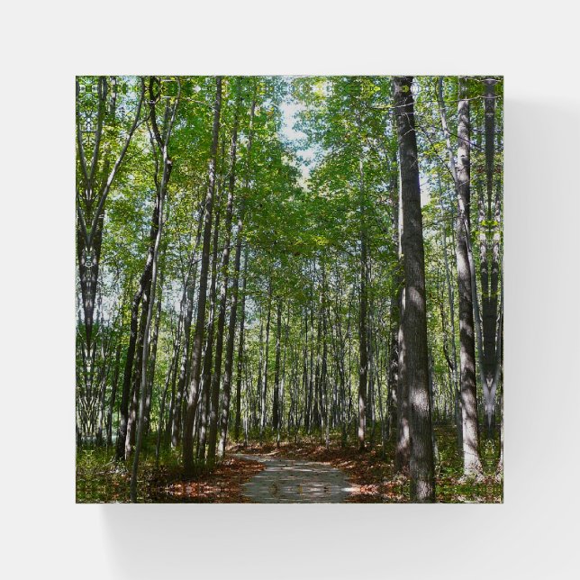 Centennial Wooded Path II Ellicott City Maryland Paperweight (Front)
