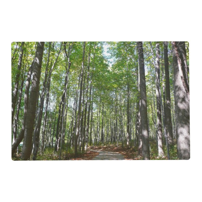 Centennial Wooded Path II Ellicott City Maryland Placemat (Front)