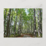 Centennial Wooded Path II Ellicott City Maryland Postcard