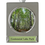 Centennial Wooded Path II Ellicott City Maryland Silver Plated Banner Ornament