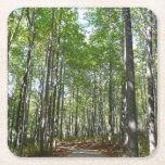 Centennial Wooded Path II Ellicott City Maryland Square Paper Coaster