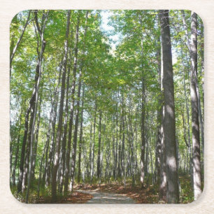 Centennial Wooded Path II Ellicott City Maryland Square Paper Coaster