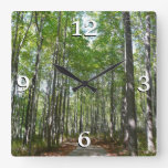 Centennial Wooded Path II Ellicott City Maryland Square Wall Clock