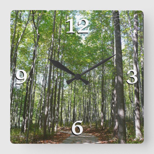 Centennial Wooded Path II Ellicott City Maryland Square Wall Clock (Front)