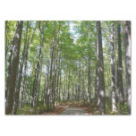 Centennial Wooded Path II Ellicott City Maryland Tissue Paper