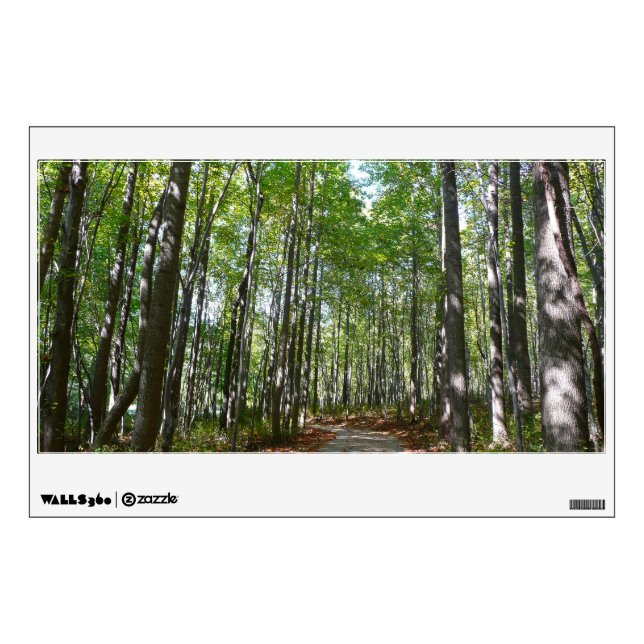 Centennial Wooded Path II Ellicott City Maryland Wall Decal (Front)