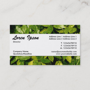 Center Band 037 - Spotted Laurel Business Card