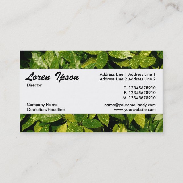 Center Band 037 - Spotted Laurel Business Card (Front)