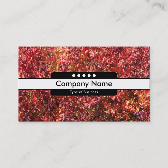 Center Band 5 Spots - Autumn Leaves Business Card (Front)