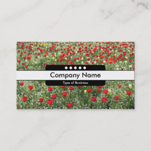 Center Band 5 Spots - Bed of Tulips Business Card