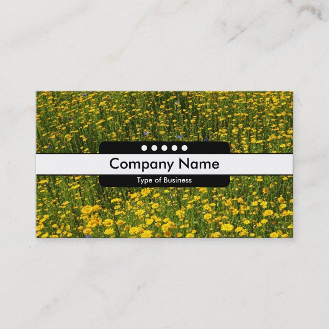 Center Band 5 Spots - Bed of Yellow Daisies Business Card (Front)