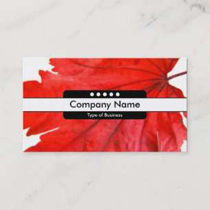 Center Band 5 Spots Business Card
