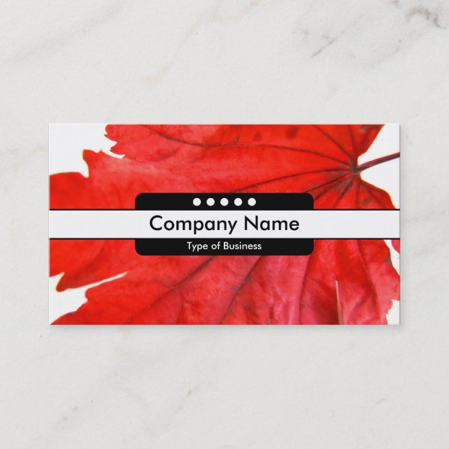 Center Band 5 Spots Business Card (Front)