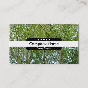 Center Band 5 Spots - Japanese Maple Business Card