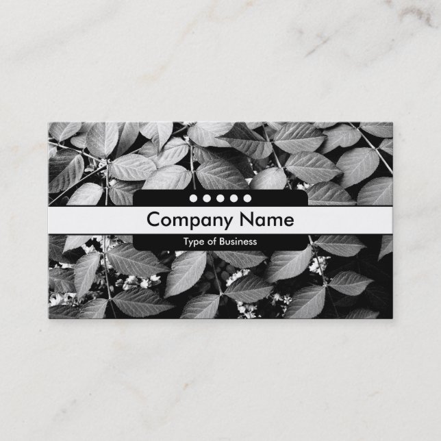 Center Band 5 Spots - Leaves Business Card (Front)