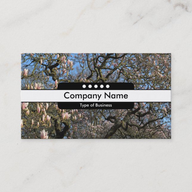 Center Band 5 Spots - Magnolia Trees in Blossom Business Card (Front)