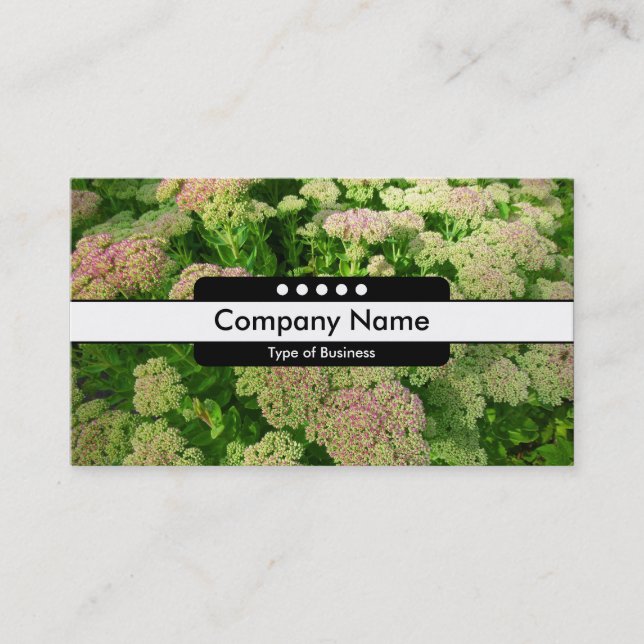 Center Band 5 Spots - Sedum "Autumn Joy" Business Card (Front)