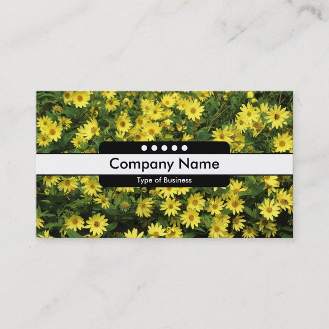 Center Band 5 Spots - Yellow Daisies Business Card (Front)