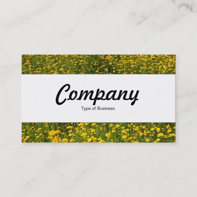 Center Band  - Bed of Yellow Daisies Business Card (Front)