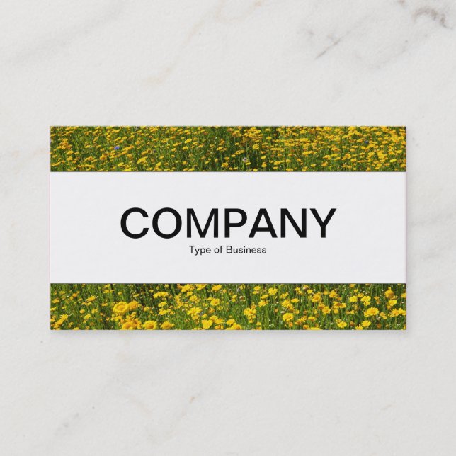 Center Band  - Bed of Yellow Daisies Business Card (Front)