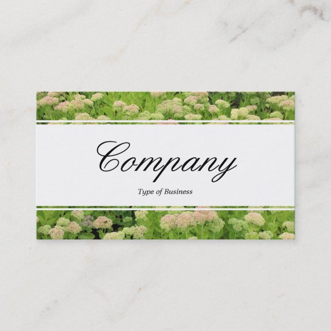 Center Band (edged) - Sedum (Autumn Joy) Business Card (Front)