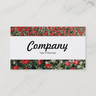 Center Band - Red Tulips and Primroses Business Card