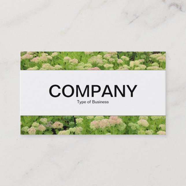 Center Band  - Sedum (Autumn Joy) Business Card (Front)