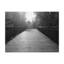 Center Bridge Sequel - Black  and White