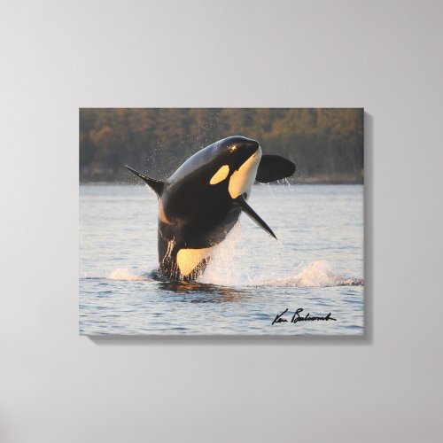 Center for Whale Research _ Canvas Print