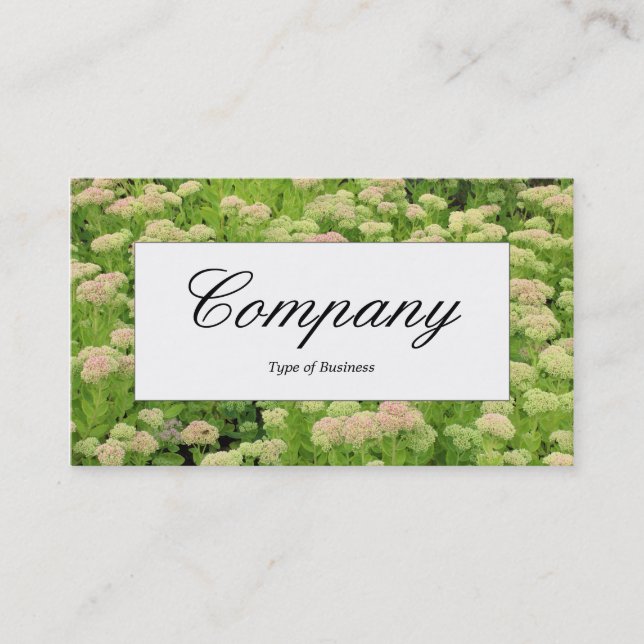 Center Label - Sedum (Autumn Joy) Business Card (Front)