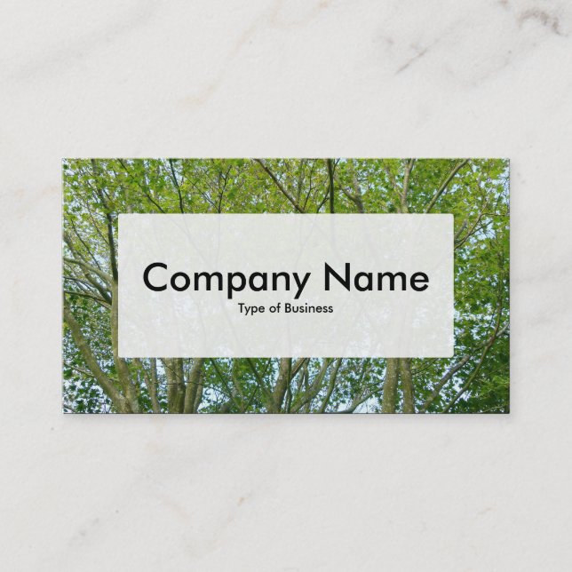 Center Label v3 - Japanese Maple Business Card (Front)