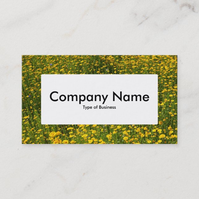 Center Label v4 - Bed of Yellow Daisies Business Card (Front)