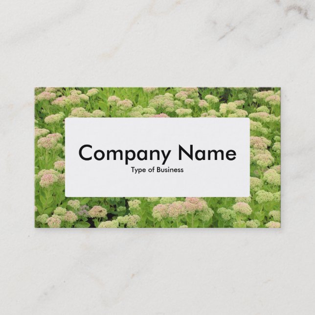 Center Label v4 - Sedum (Autumn Joy) Business Card (Front)