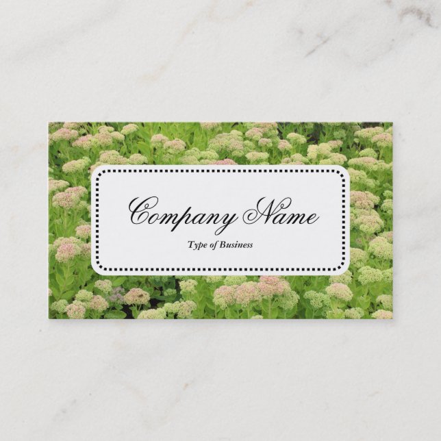 Center Label v5 - Sedum (Autumn Joy) Business Card (Front)