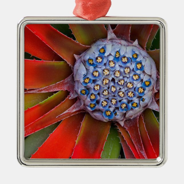 Center of a blooming agave - San Francisco Metal Ornament (Front)
