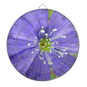 Center of a blue flower with white stamps dartboard