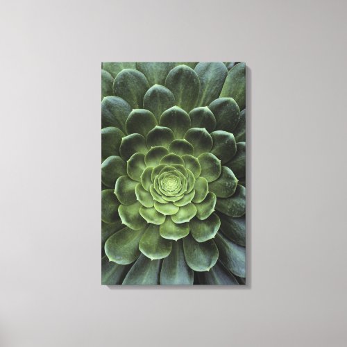 Center of Cactus Canvas Print