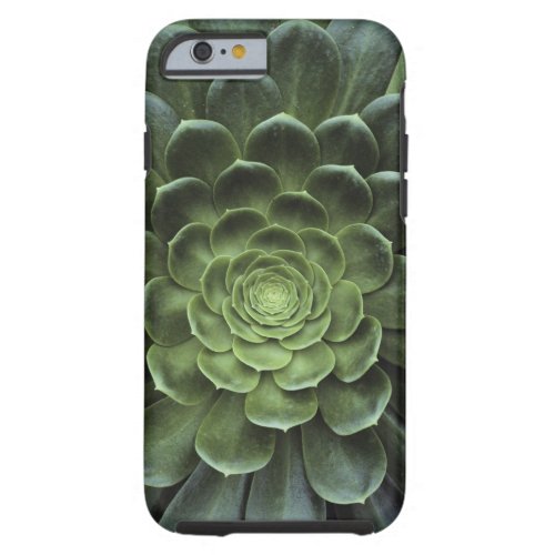 Center of Cactus Tough iPhone 6 Case