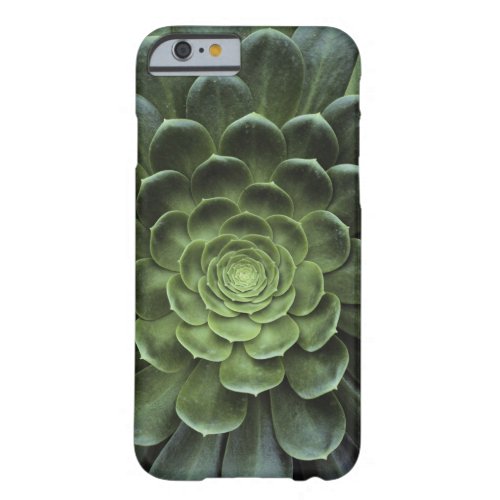 Center of Cactus Barely There iPhone 6 Case