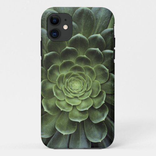 Center of Cactus iPhone 11 Case