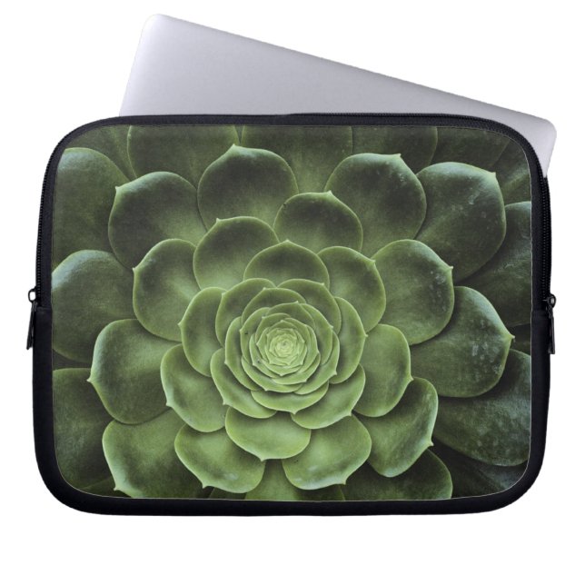 Center of Cactus Laptop Sleeve (Front)