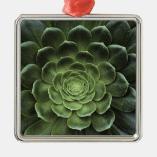 Center of Cactus Metal Ornament