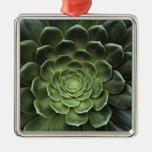 Center of Cactus Metal Ornament (Front)