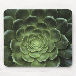 Center of Cactus Mouse Pad