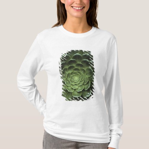 Center of Cactus T_Shirt