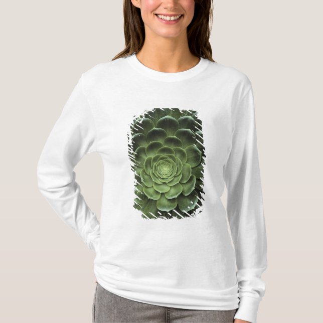 Center of Cactus T-Shirt (Front)